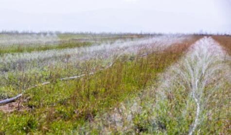 山西萬畝中藥材采用軟體集雨水窖+智能水肥一體化，增產顯著